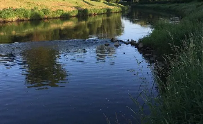 śledzik Apartament *